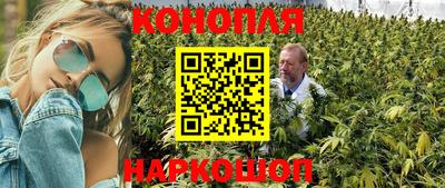 прущая мука Кингисепп
