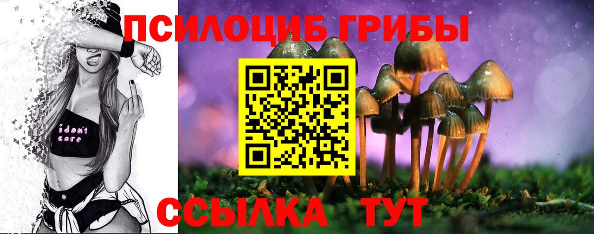 Галлюциногенные грибы Cubensis  Вход с VPN  Горно-Алтайск  Псилоцибиновые грибы ЛСД 